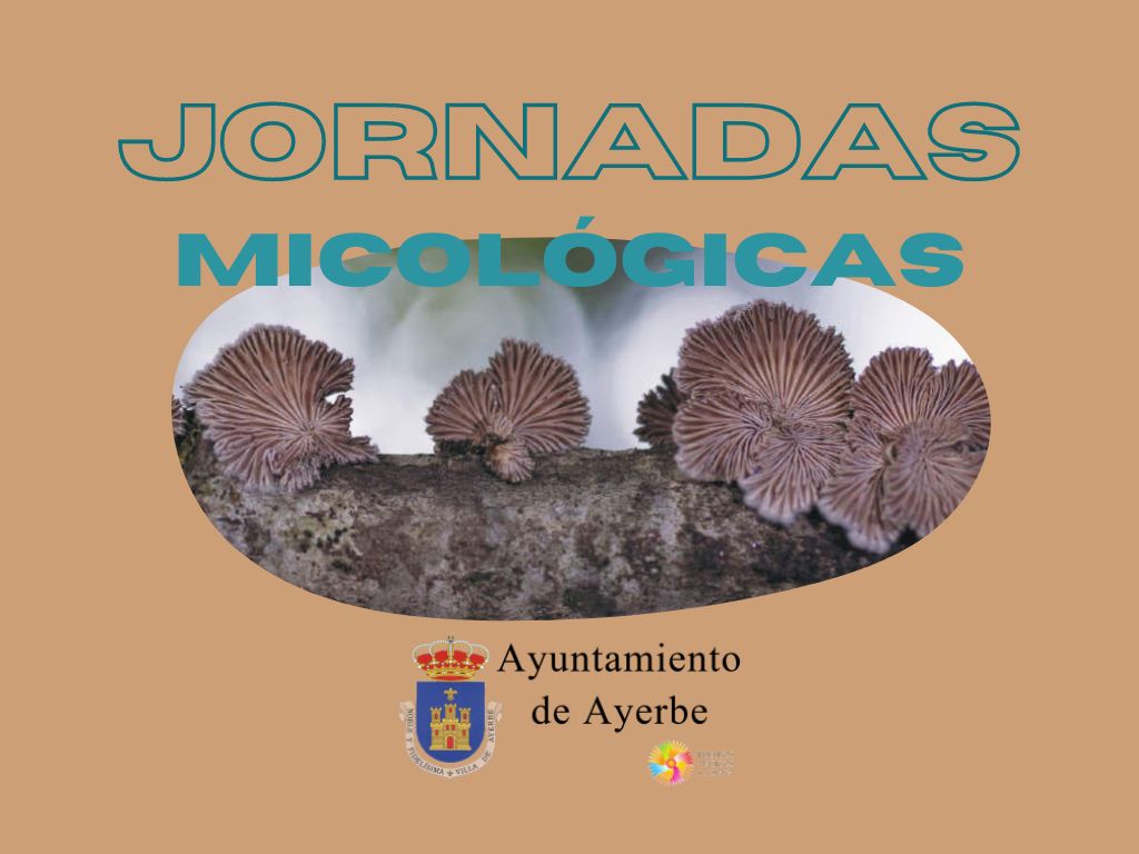xxxii-jornadas-micologicas-ayerbe-2023-ayuntamiento-ayerbe