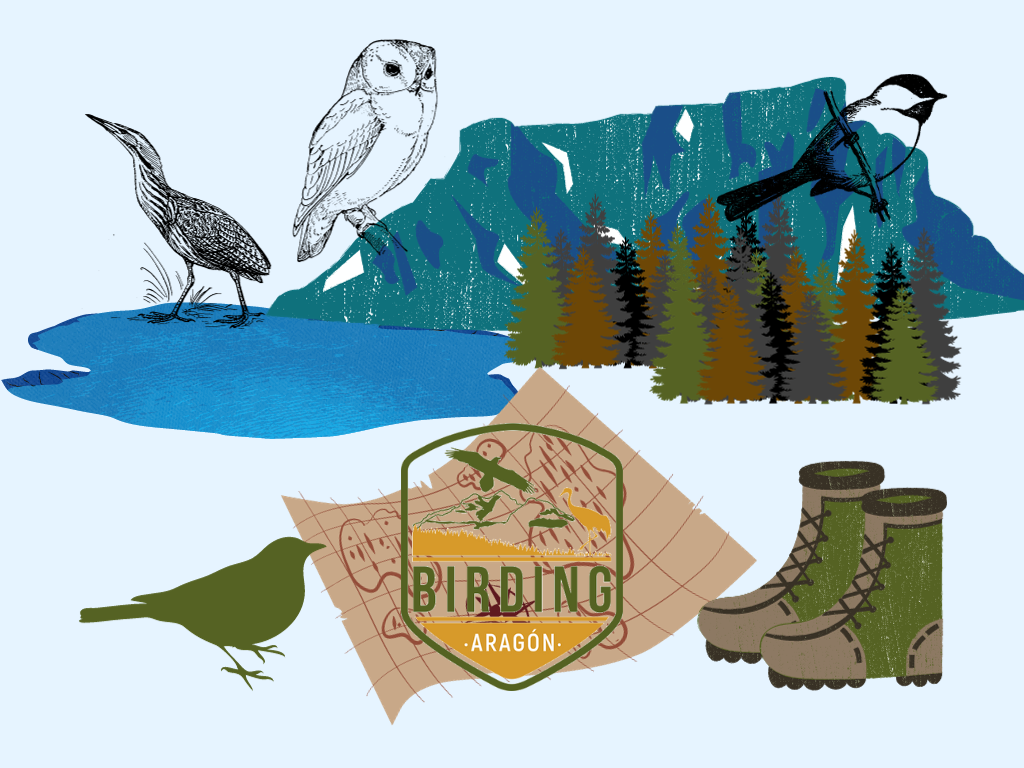 birding-aragon-ruta-ornitologica